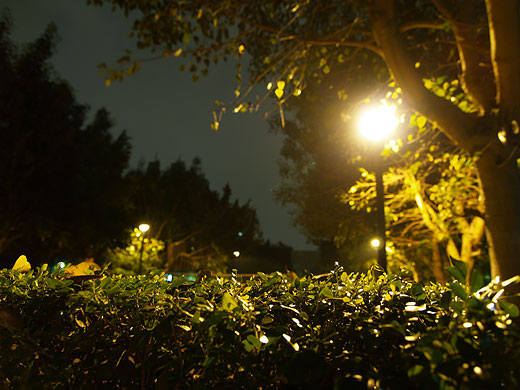 台湾の夜